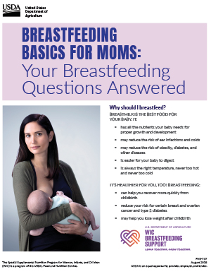 Breastfeeding Basics PDF thumbnail