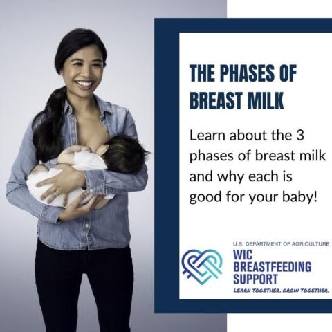 Phases of Breast Milk