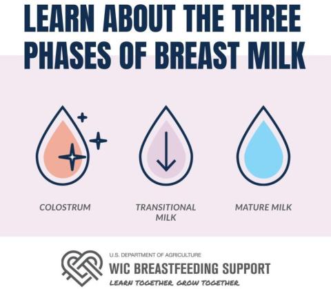 Three Phases of Breast Milk